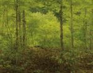 Forest Landscape by Isaak Ilyich Levitan