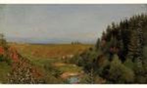 Summer Landscape