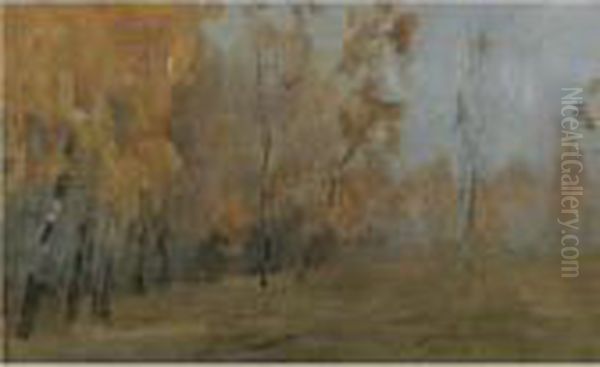Birch Trees - view 1
