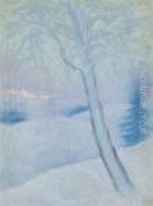 Paysage De Neige