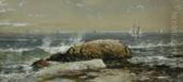 Rocky Coast, Newjersey - view 1