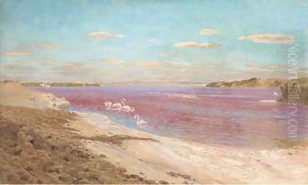 The flamingo lake - view 1