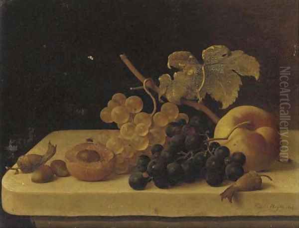 Grapes, Acorns, an Apricot and a Peach on a Ledge with a Fly - view 1