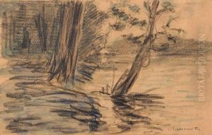 Arbres Au Bord De La Piece D'eau Arbres Au Bord De La Piece D'eau
