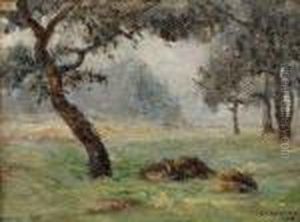 La Clairiere