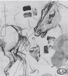 Studi Di Cavallo Studi Di Cavallo