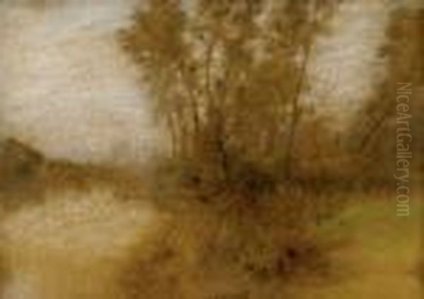 A Path Through The Forest - view 1