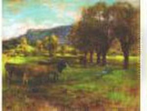 Vaches Au Paturage