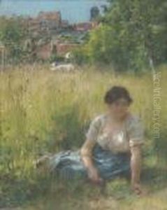 Soleil Dans Les Herbes