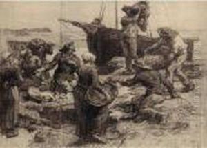 Sorting The Catch