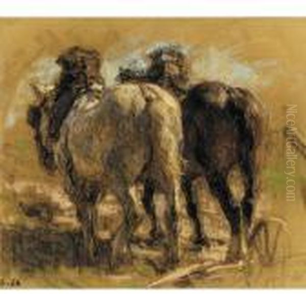 Chevaux, Vus De Dos - view 1