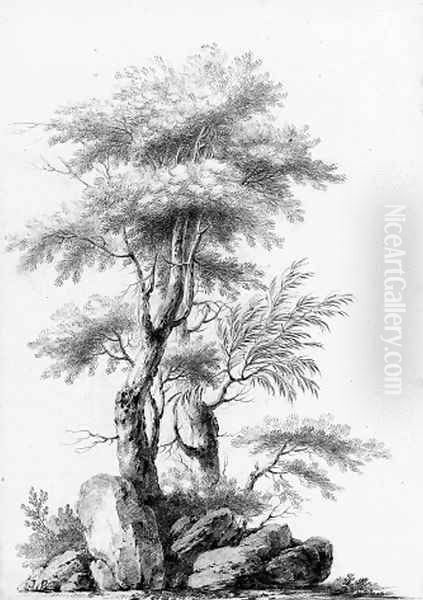 Two studies of trees - view 1
