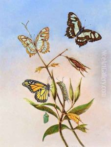Butterflies by Titian Ramsay Peale