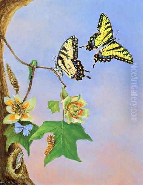 Butterflies I - view 1