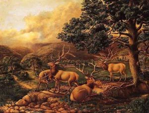 Four Elk by Titian Ramsay Peale