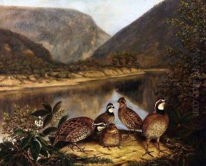Five Bobwhites at the Delaware Water Gap by Titian Ramsay Peale