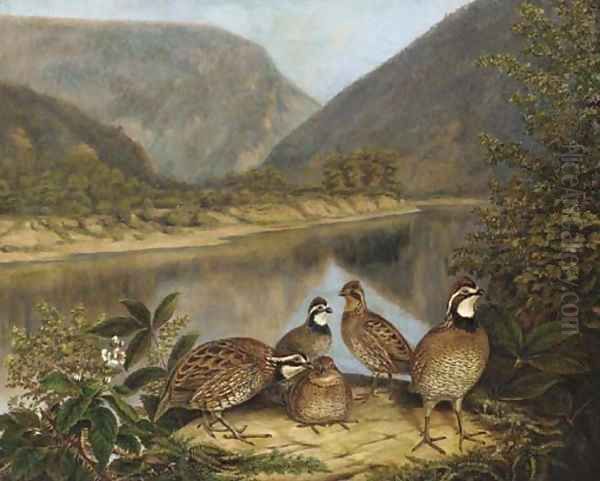 Five Bobwhites at the Delaware Water Gap 2 - view 1