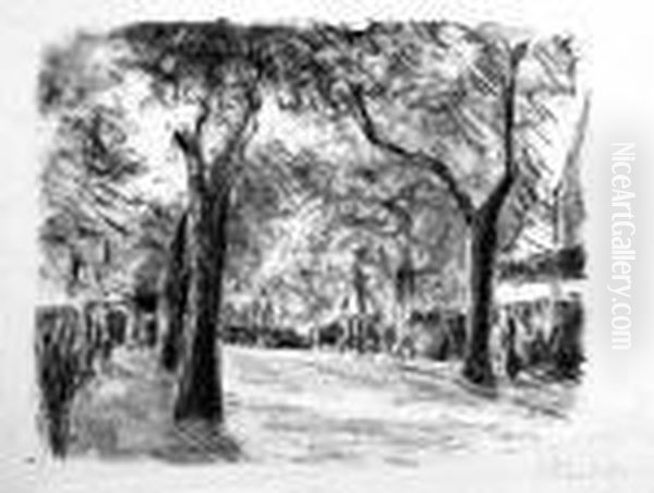 Allee - view 1
