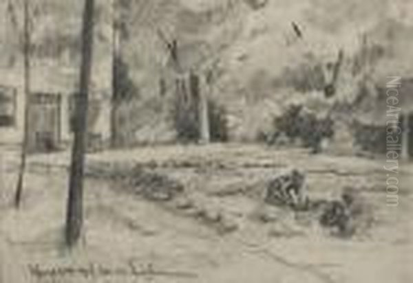 'kohlfeld In Wannseegarten Nachnordwesten' - view 1