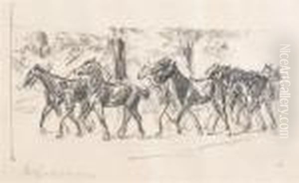 Horses Being Led - view 1