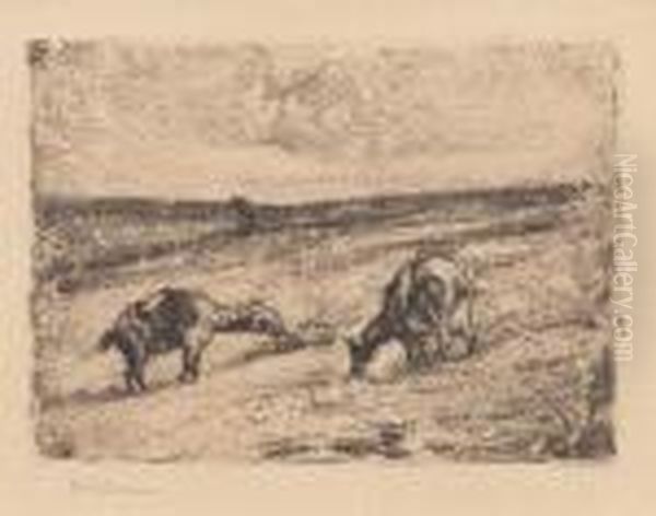 Grasende Ziegen - view 1