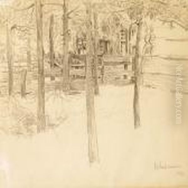 View Between Trees - view 1