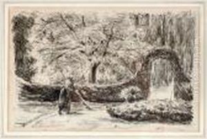 Parklandschaft Parklandschaft