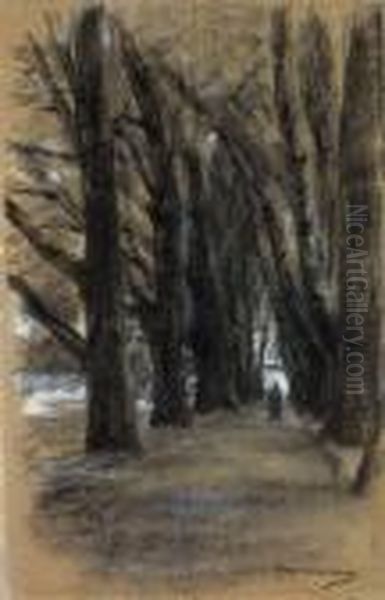 Allee In Rosenheim - view 1