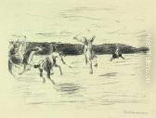 Polo - view 1