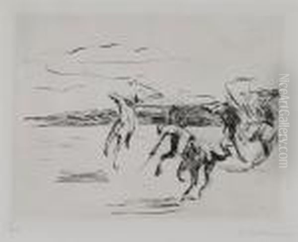 Polo - view 1