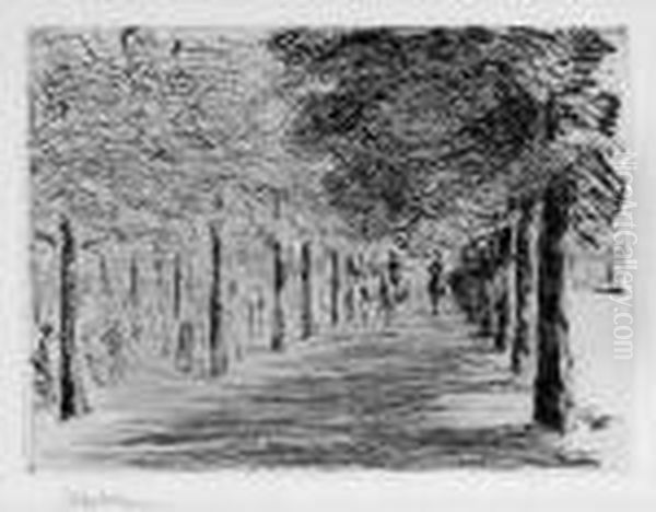 Reitweg Im Tiergarten - view 1