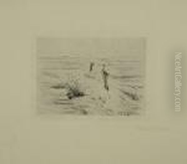 In Den Dunen - view 1