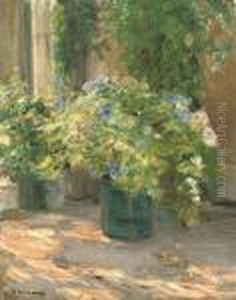 Blumentopfe Vor Dem Haus - view 1