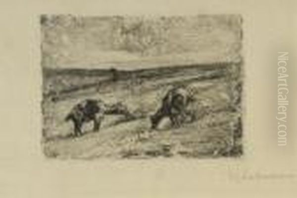 Grasende Ziegen. 1887 - view 1