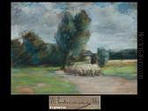 Landschaft Mit Schafherde - view 1