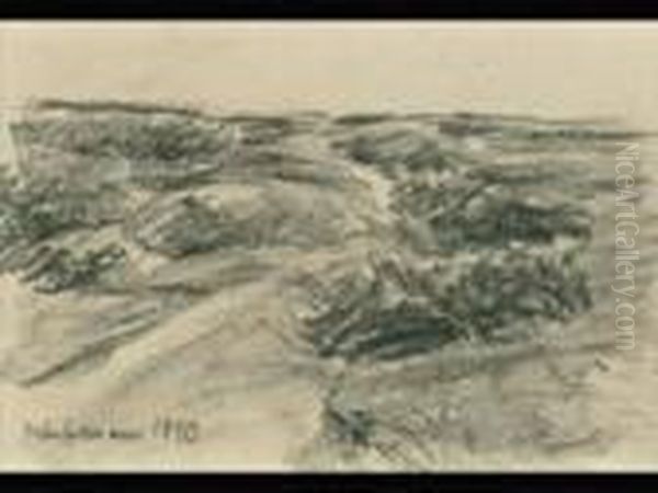 Dunnenlandschaft - view 1