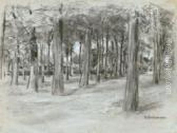 Hauser Hinter Baumen - Der >brink< In Laren - view 1