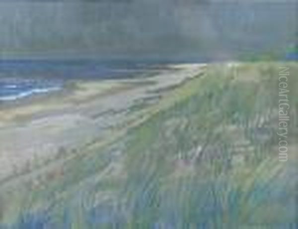 The Dunes Of Holland - view 1