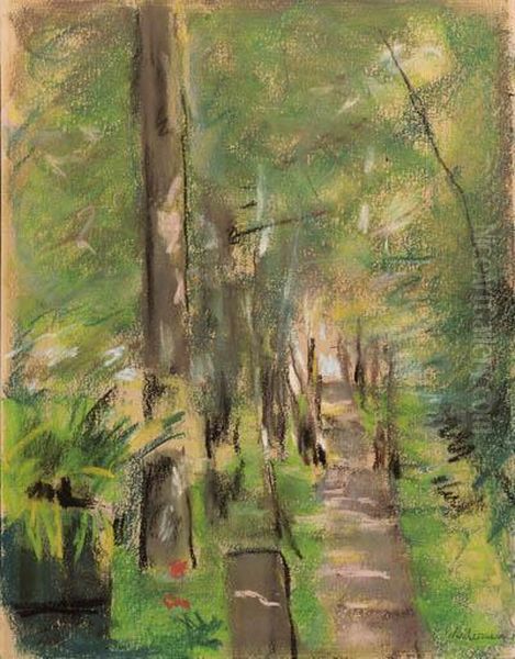 Birkenallee Im Wannseegarten - view 1