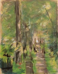 Birkenallee Im Wannseegarten