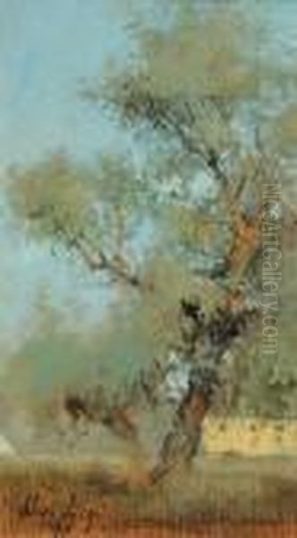 Paesaggio - view 1