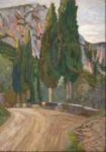 Strada Con Cipressi