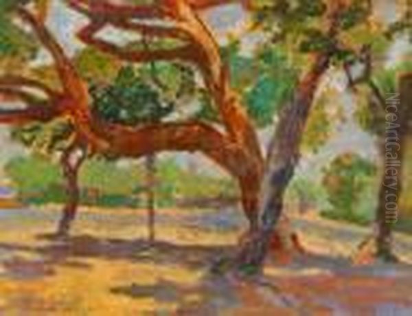 Ardenza - view 1