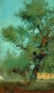 Alberi by Ulvi Liegi