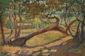 Paysage