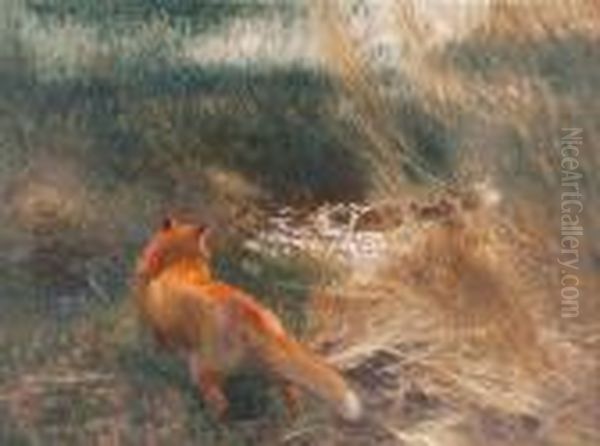 Fox Stalking Mallards - view 1