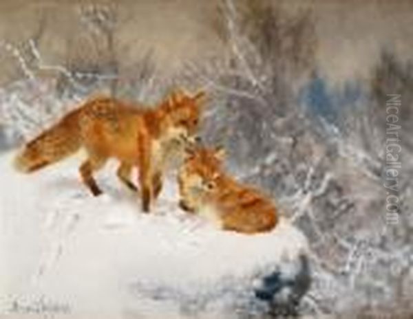 Two Foxes In Winter Landscape - view 1