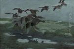 Ducks Descending Into A Marsh by Bruno Andreas Liljefors