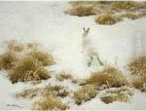 Vinterhare Bland Tuvor (the Snow Hare) by Bruno Andreas Liljefors
