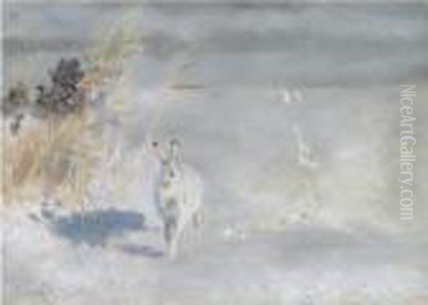 Vinterhare (snow Hare) - view 1